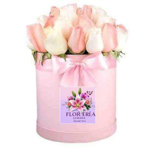 Box de Rosas